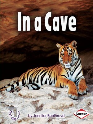 cover image of In a Cave